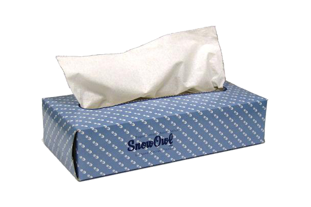 Facial Tissue, 30 box, 2 ply x 100 sheets, 20*21cm #SnowSoft, #FT10030 ***June Special***