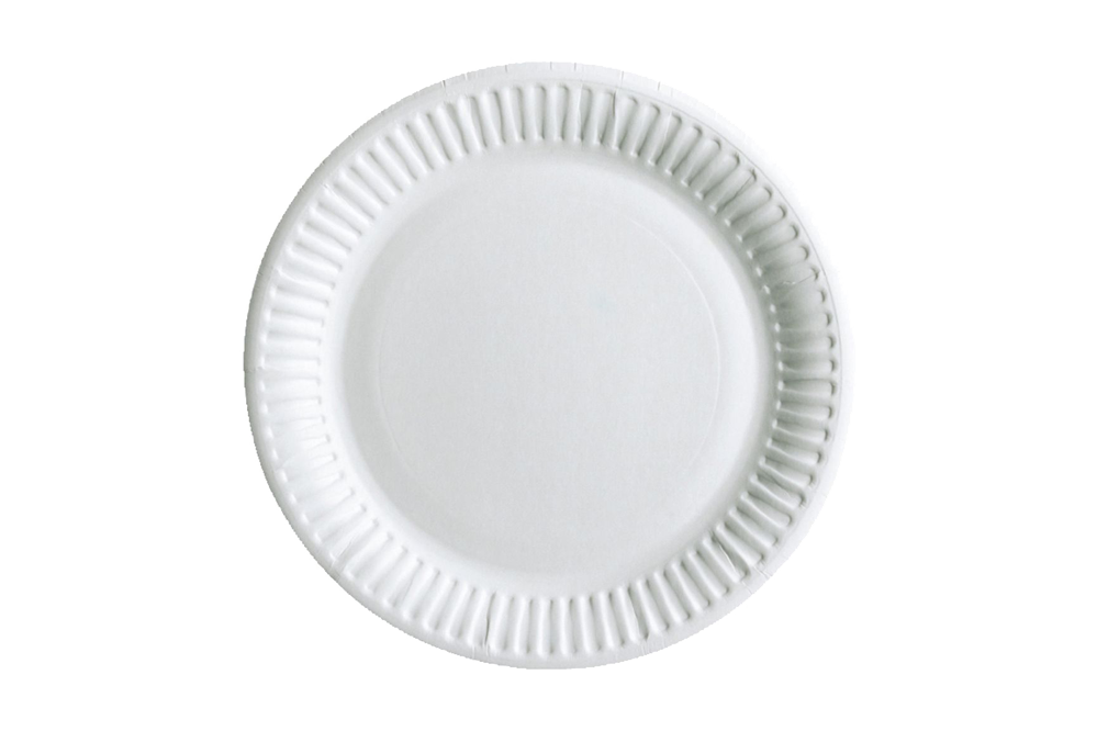 Paper Plates, UNCOATED, 9'', 1200pcs, #526 #PL209