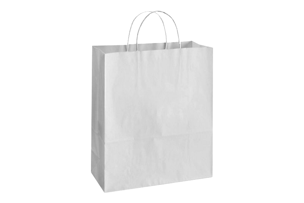 Paper Shopping Bags with handle, WHITE, 13x6x15, 250 pcs