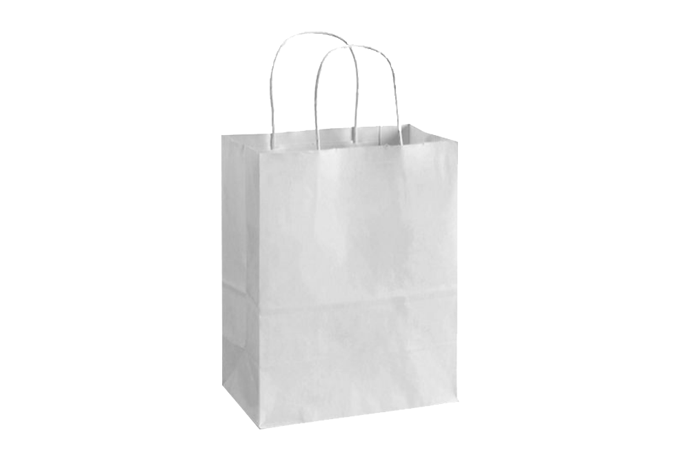Paper Shopping Bags with handle, WHITE, 8x4x10, 250 pcs