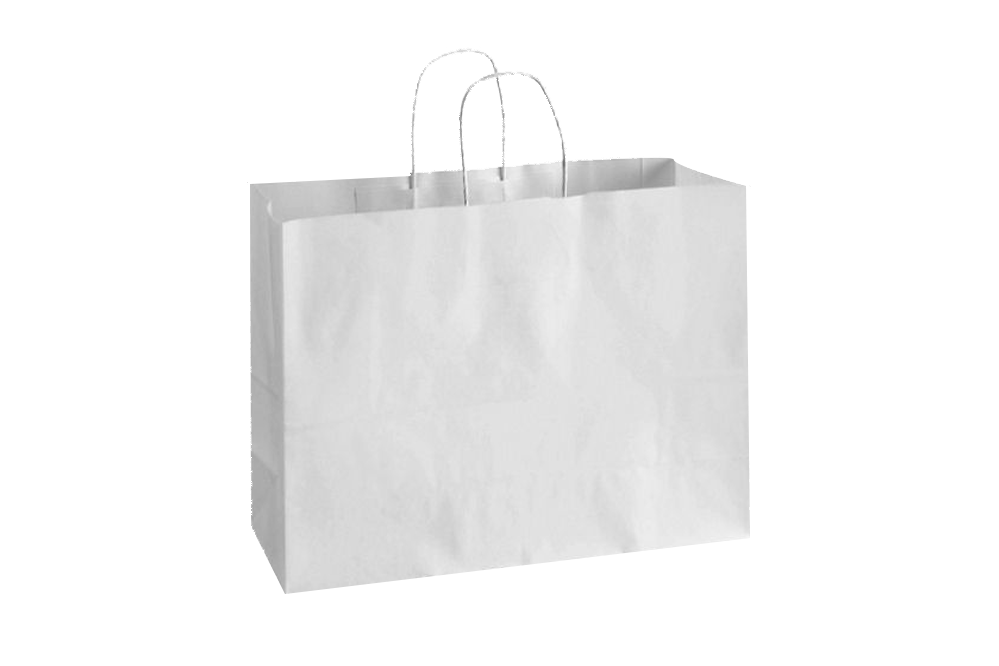 Paper Shopping Bags with handle, WHITE,  16x6x12,  250 pcs